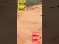 Download Lagu Masya Allah‼️BEGINILAH SUASANA DETIK-DETIK PESAWAT JAMA'AH UMRAH BATAM MENDARAT#shorts #viral #2023
