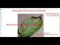 Potato Leaf Disease Detection Using CNN Convolutional Neural Network Python Source Code Projects