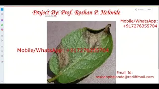 Potato Leaf Disease Detection Using CNN Convolutional Neural Network Python Source Code Projects