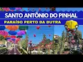 SANTO ANTONIO DO PINHAL - SP Um achado na Serra da Mantiqueira em Sao Paulo