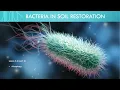 Lesson 3 4 - Rhizophagy