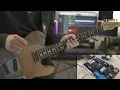DISCO FLIGHT / 凛として時雨 Guitar Cover 【弾いてみた】