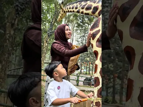 Di gigit jerapah