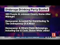 Underage drinking party busted in Johnson County