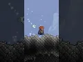 The BEST Light Pets in Terraria