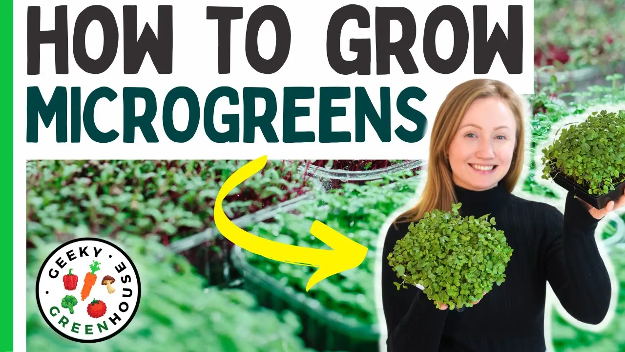 Video thumbnail from Geeky Greenhouse