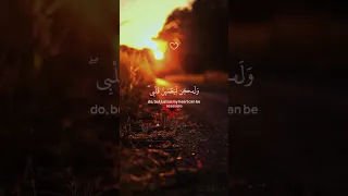 واذ قال ابراهيم ربي ارني كيف تحيي الموتى Quran المصحف تلاوة خاشعة 