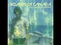 Peacock Tail - Boards of Canada