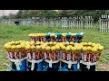 2 000 XL FIREWORK ROCKET LAUNCH - Rocket Rodeo PGI 2026