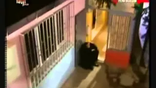 علي العيساوي حزين وحدك سهران الليل ياقلبي المحروم دموع الورد 