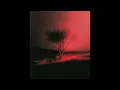Joji - Last of a Dying Breed 最後的瀕危人種 (中文字幕)