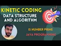 Prime Factorization Data Structure Algorithms Java Tech Interviews Tutorials Coding