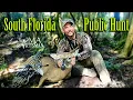 Download Lagu Stalk Hunting RUTTING BUCKS in early August - Florida Public Land bow Hunt 2025
