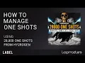 How to Organize Manage One Shot Samples EDM Future Bass House Hip Hop One Shot Samples