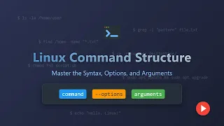 Linux Command Structure for Beginners Syntax Options Arguments Explained