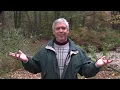 201 Fall Leaf Collection Program