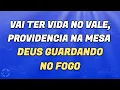VIDA NO VALE - PLAYBACK - SUED SILVA 