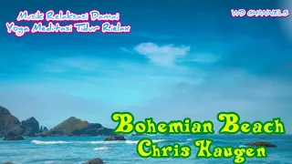 Download Bohemian Beach Chris Haugen Musik Relaksasi Damai Yoga Meditasi Tidur  Relax MP3