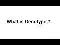 What is Genotype