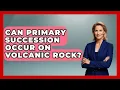 Can Primary Succession Occur On Volcanic Rock - Exploring Campgrounds