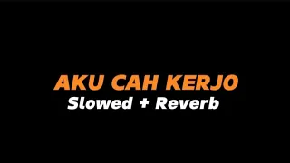 aku cah kerjo slowed reverb full lirik 