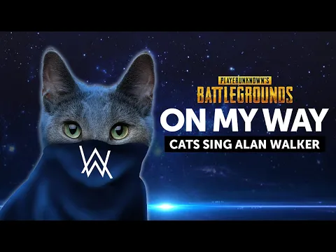 Download MP3 Kucing Nyanyi Lagu On My Way Alan Walker