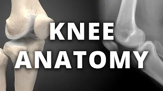 Normal radiographic anatomy of the knee