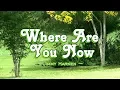 Download Lagu Where Are You Now - Jimmy Harnen (KARAOKE VERSION)
