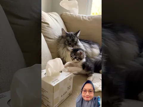SOBEK-SOBEK TISUNYA‼️#lucu #comedy #funny