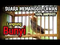 Download Lagu Suara prenjak kepala merah gacor 100% AMPUH untuk pancingan prenjak manapun