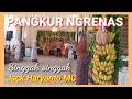 Download Lagu PANGKUR NGRENAS PL.5 SINGGAH SINGGAH JACK HARYANTO