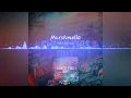 Marshmello - Check This Out (Remix)