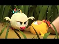 Lagu Chicky into the wild | Where's Chicky? | Cartoon Collection in English for Kids | New episodes