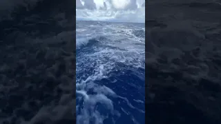 This is what 9 knots of our wake looks like right now. #catamaransailing #saltydawg