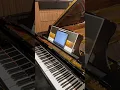 Download Lagu Steinway spirio ! Isn’t it amazing ? #steinway #steinwayandsons #grandepiano #pianoshorts