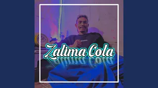 Download DJ India Zalima Cola (Inst) MP3