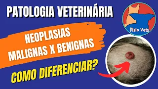 Neoplasias Benignas e Malignas em animais domésticos - Patologia veterinária