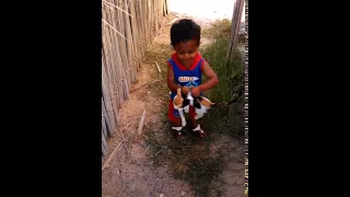 قطة تهاجم طفل 