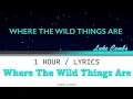 Download Lagu Luke Combs | Where The Wild Things Are [1 Hour Loop] With Lyrics