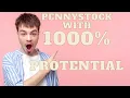 OTC PENNY STOCK LABOR SMART LTNC 1000 PROTENTIAL
