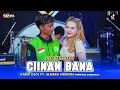 Download Lagu KANG OJOL Rizal ft Almera Sabrina - CIINAN BANA OM NIRWANA COMEBACK (Official Performance Video)