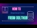 How to get data off of DoltHub