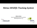 Motus Wildlife Tracking System Duval Audubon Society Virtual Monthly Program