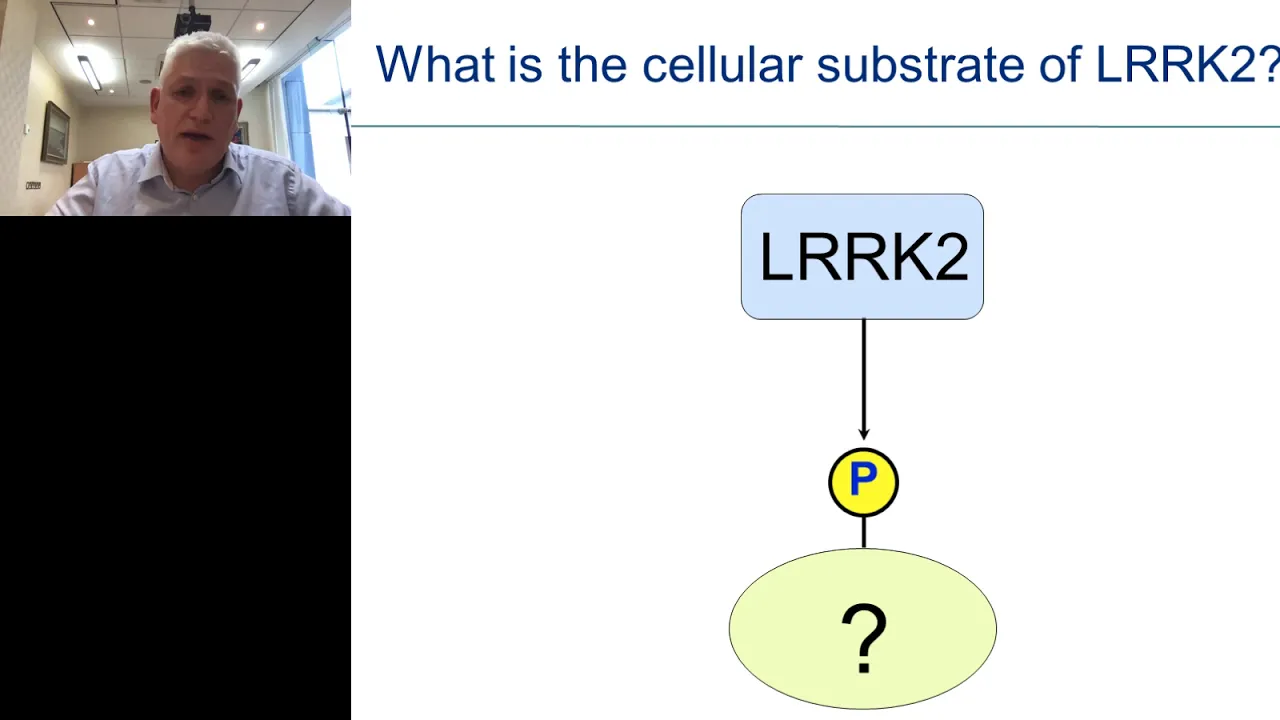 Keynote Presentation: Interplay between LRRK2 protein kinase and Rab GTPases in Parkinson's disease