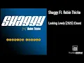 Shaggy Ft. Robin Thicke - Looking Lovely [2026] (Clean)
