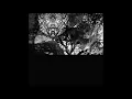 Tsuruda - Oakland, Pt. 2 [Official Audio]