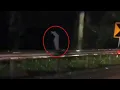 Download Lagu Pocong di Jalan Tol..! 6 Rekaman Penampakan Hantu yang Menghebohkan Warganet