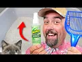 How to Clean a Litter Box Stop Litter Odors with OdoBan Cat Litter Deodorizer