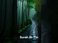 Download Lagu Surah At-Tin