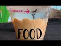 Caterpillar Cup Instructional
